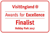 Visit England Award for Excellence