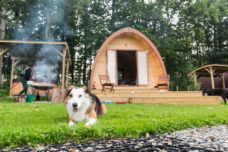 Glamping on the edge of the Lake District